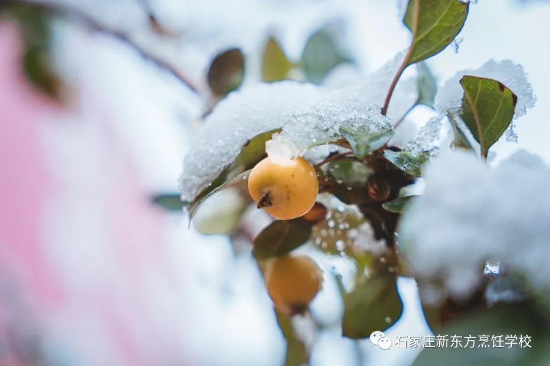 爸媽放心吧，立冬的餃子我已經(jīng)吃上啦！