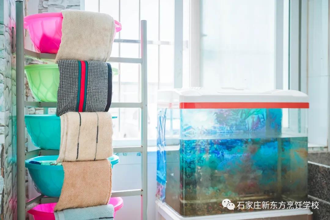 一見傾心丨get宿舍相處之道，幸福值拉滿~