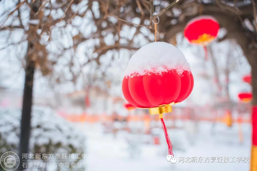 | | 如果，能在這里和你同游看場(chǎng)雪