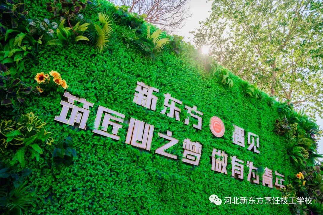 河北新東方五日研學(xué)來了，快來開啟美食美景奇妙之旅！
